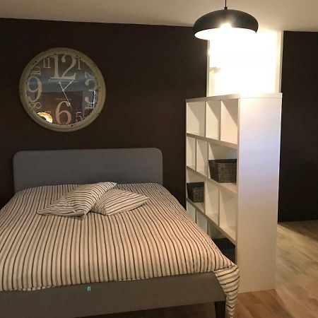 Large Studio Near Epfl And Lausanne City Center Ecublens  Eksteriør bilde