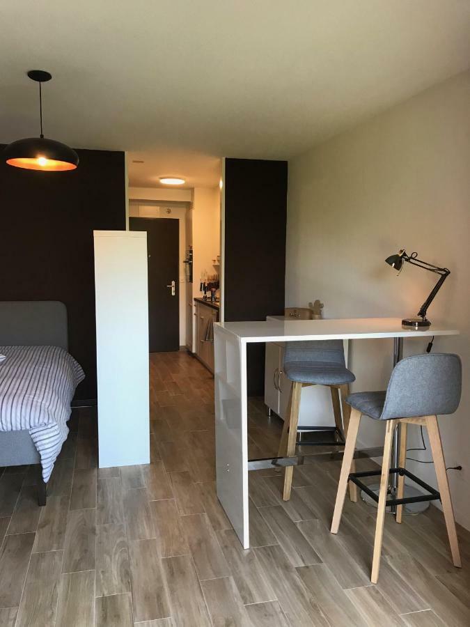 Large Studio Near Epfl And Lausanne City Center Ecublens  Eksteriør bilde