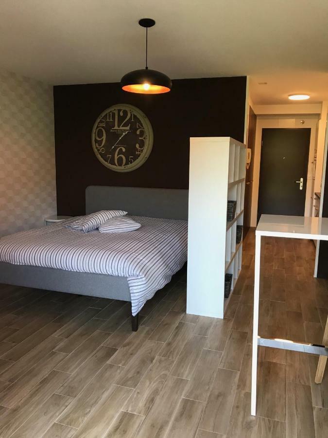 Large Studio Near Epfl And Lausanne City Center Ecublens  Eksteriør bilde