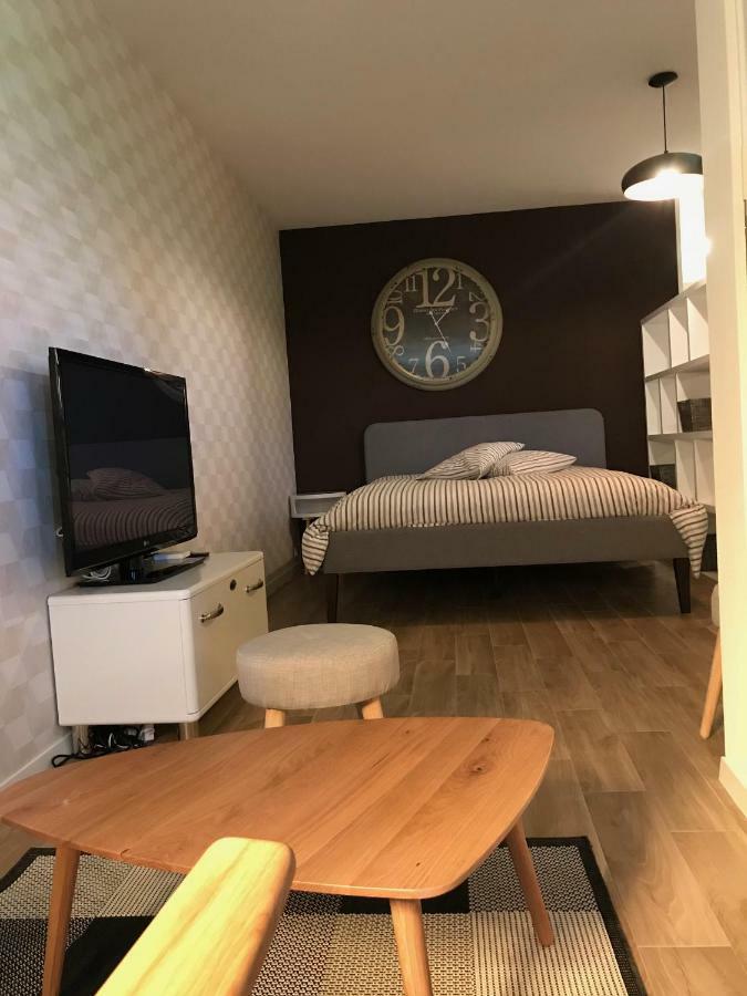 Large Studio Near Epfl And Lausanne City Center Ecublens  Eksteriør bilde